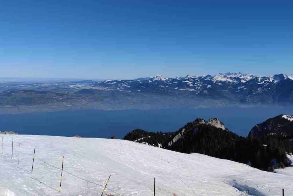 Studio Myrtilles Du Leman Vue Sur Lac Et Montagne Thollon-les-Memises Εξωτερικό φωτογραφία