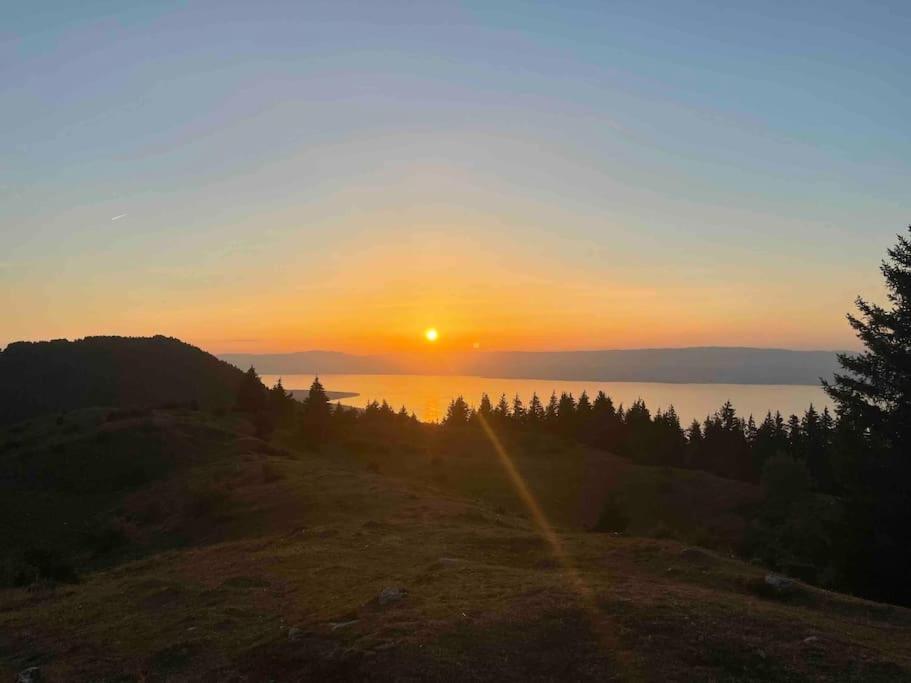 Studio Myrtilles Du Leman Vue Sur Lac Et Montagne Thollon-les-Memises Εξωτερικό φωτογραφία