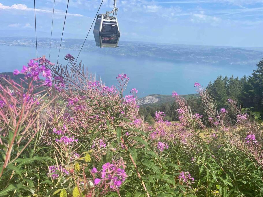 Studio Myrtilles Du Leman Vue Sur Lac Et Montagne Thollon-les-Memises Εξωτερικό φωτογραφία